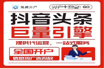竞价排名的投放策略与效果评估案例